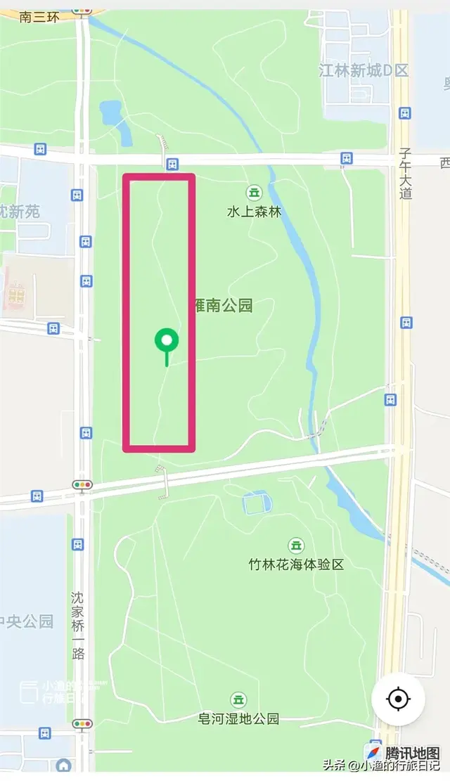 天晴啦！西安第一波红叶已上线！这片秘境小森林，又到一年最美时