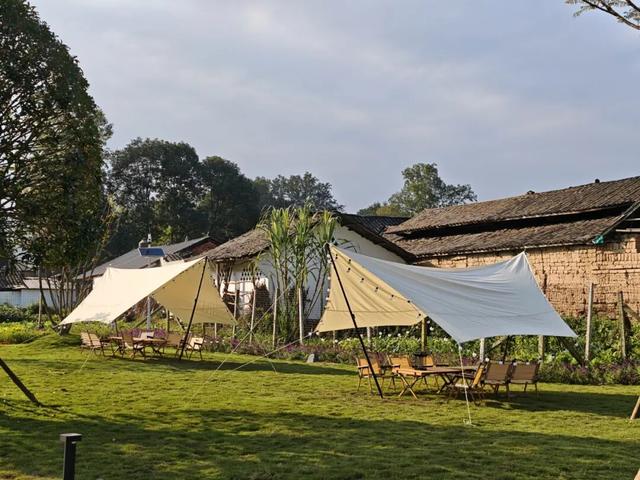 汪汪队！集合！