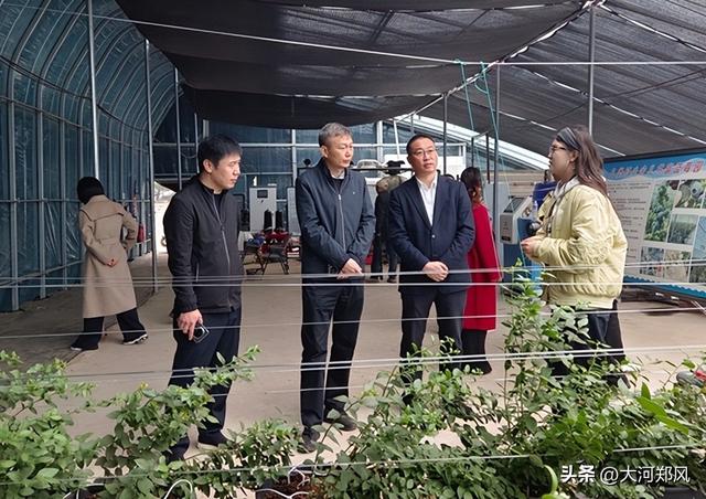 中牟新成立两家微短剧拍摄基地 以竖屏方式展示历史与文化