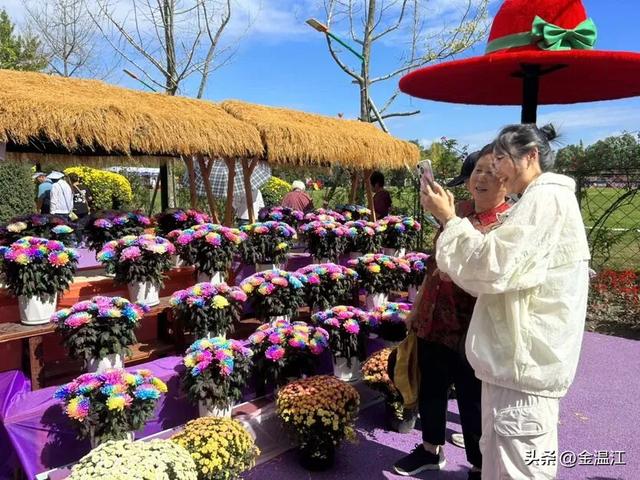 温江这个园区自带BGM！来看看音乐牧场的破圈密码→