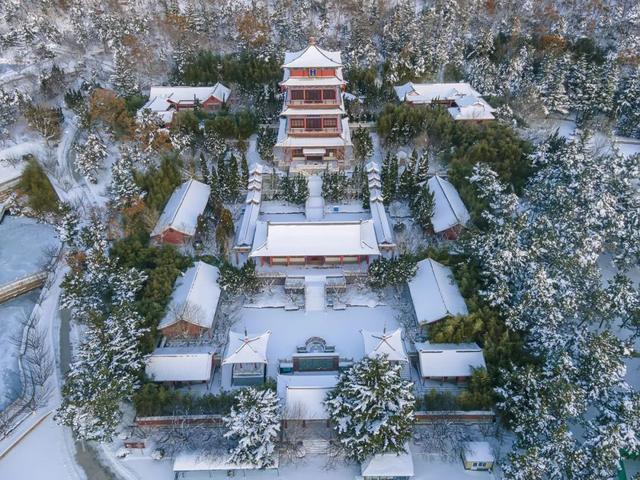 乘高铁看天鹅，还有限时景区优惠！