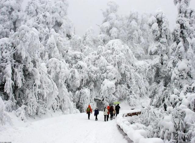 一般的拼豆我不拼，但你要说剑门关的拼豆我可感兴趣了！