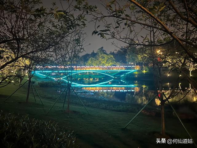 记水西路创业公园夜行