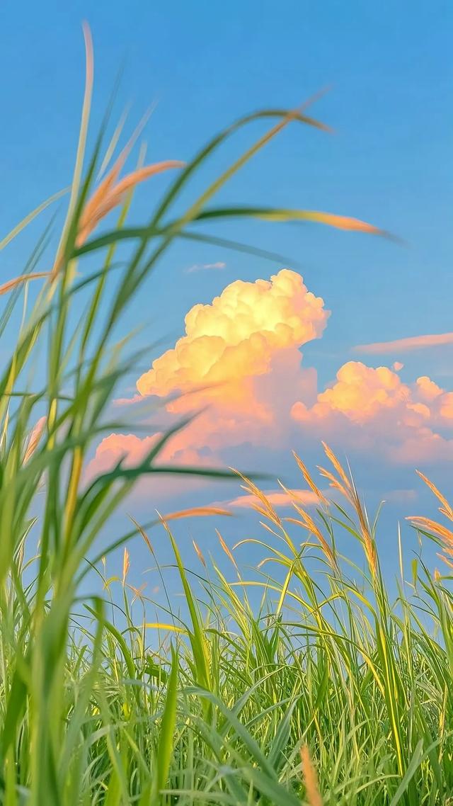 夏天云朵有一万种浪漫