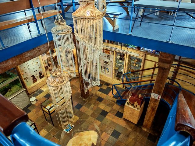 非洲旅游：难忘南非观光之旅纪行（图）