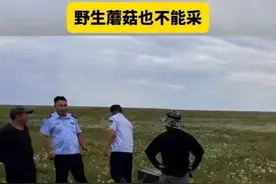 太过分了！内蒙古24人采摘野生沙葱被罚！是否存在执法过猛？图片