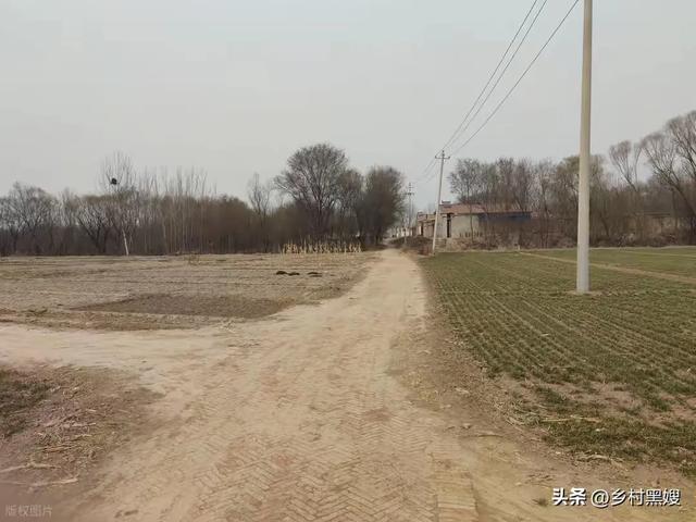 2000年,我在深山收废品时见过一对奇怪夫妻,直到现在仍然忘不掉