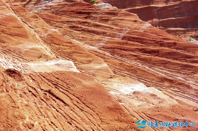 东乡大地的浪漫情书——“羊肉卷”