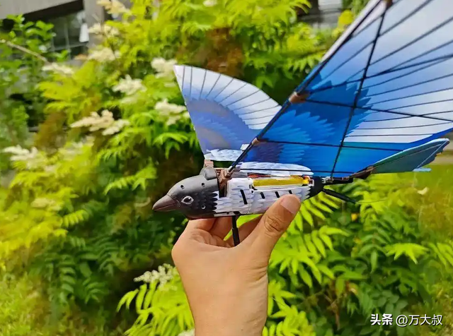 我国锂金属电池技术取得重大突破，续航能力有望提高2至3倍！