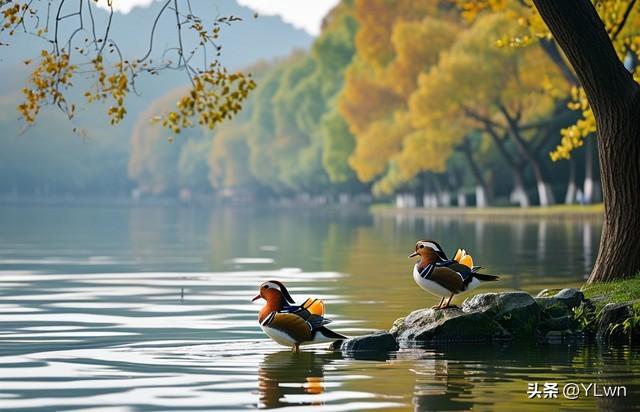 西湖景点之孤山公园