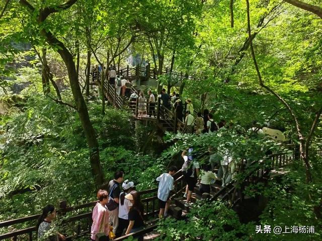 上海出发,睡一觉可抵达这些宝藏城市→