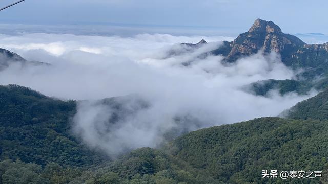 雨后泰山云海翻涌如仙境