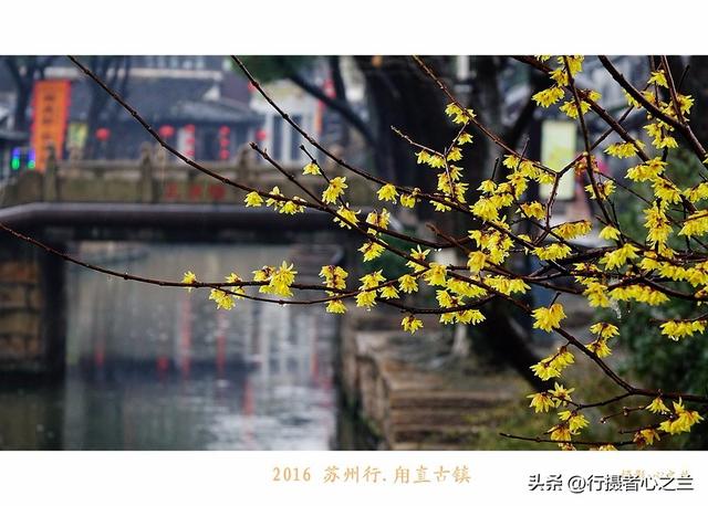 江南古镇行游影记（27）—甪直古镇（三）