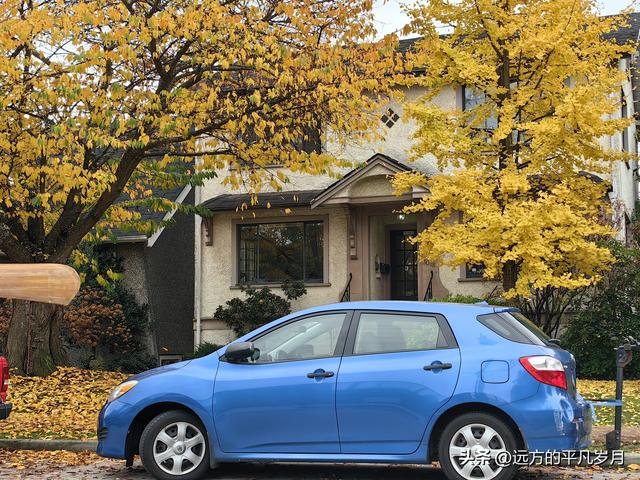 温哥华游记（五）