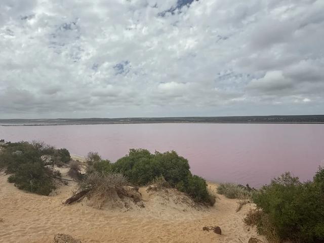 澳大利亚22日世界文化遗产与自然之旅游记+攻略