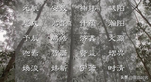 唐诗宋词里优雅自信的女孩名，初见入心