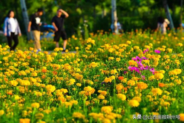朔州：走，去沣汇公园