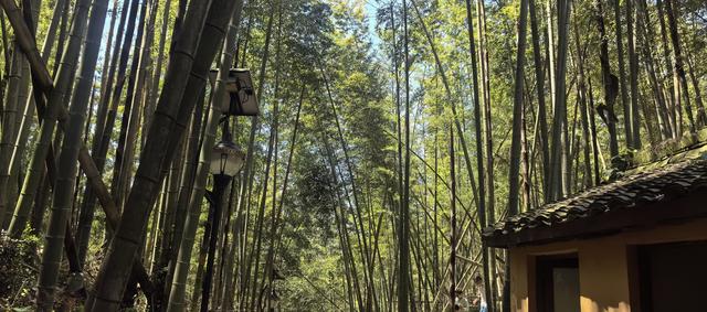 绍兴梅坞古道一条 对新手小白特别友好的线路