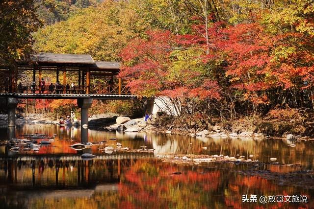 别只盯着长白山！吉林这3个宝藏地，才是真正的高性价比旅游圣境