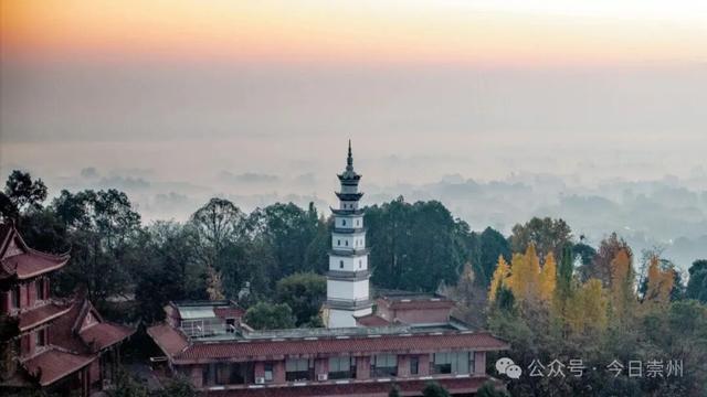 速来→崇州正上演初冬金色浪漫大片！