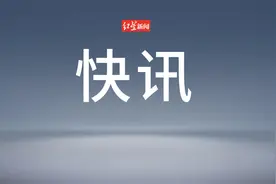 新华社快讯：印度失事客机确认载有242人，包括61名外国公民图片