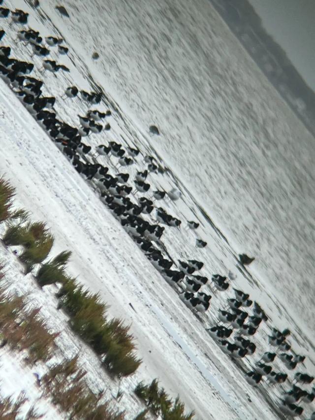 10月，「需要另一个同类」