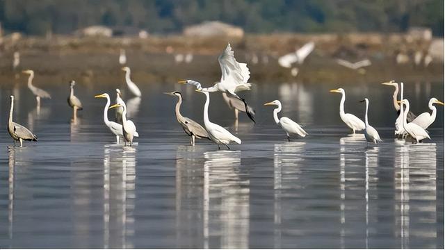 惠州进全球榜单！快来看看吧~