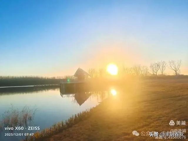 初冬北京朝阳坝河金盏淀：清寒里的静美画卷｜申艳娟