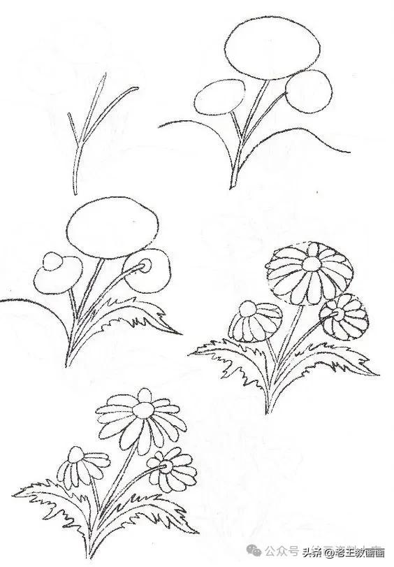 有手就能画！花卉简笔画教程