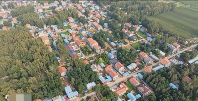 魅力曹县楼庄镇