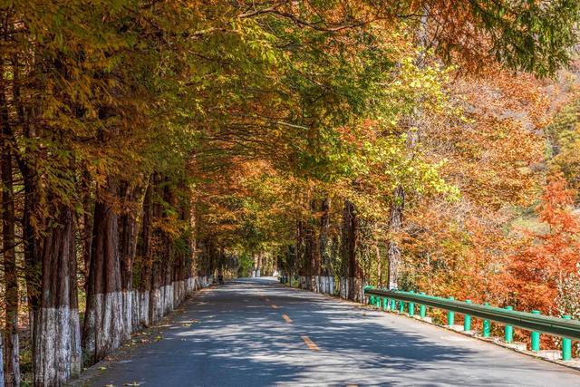 10月-11月，适合去的7个小众赏秋圣地，满山彩林，浓浓秋意