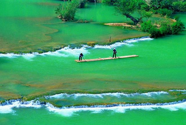 带着孙女去旅行（168）罗平油菜花海游