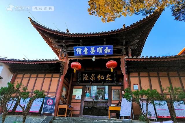 11月的云南腾冲,3000株银杏迎来黄金观赏期,美成人间仙境!