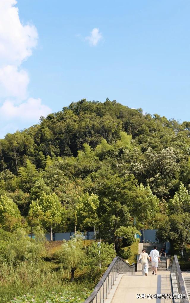 30分钟登顶！长沙私藏小众徒步路线，一站解锁遛娃顶“尖”玩法