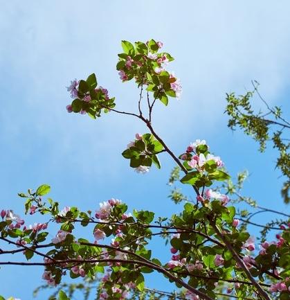 白羊座：12月下旬将迎来“九星报喜”的吉兆