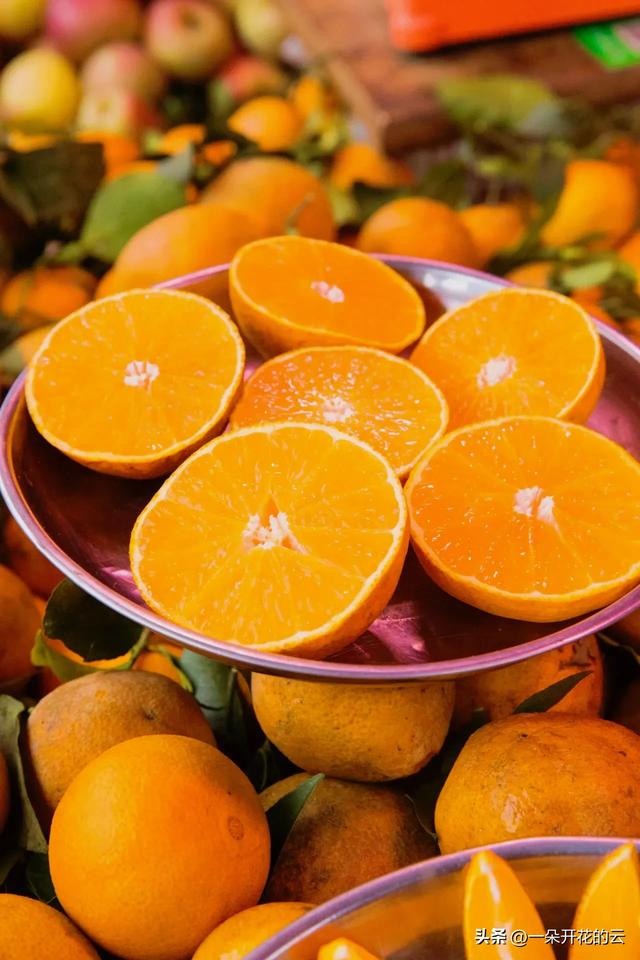 成都“最高级买手店”藏在立交桥下：银杏叶是顶棚，生活是爆款