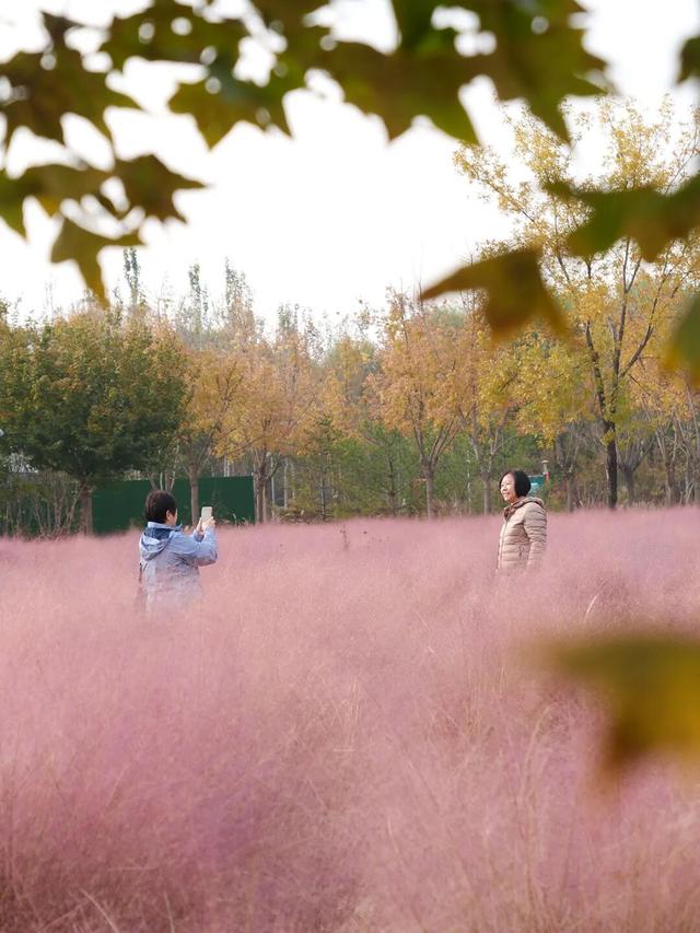 在顺义这些宝藏公园邂逅斑斓秋景——