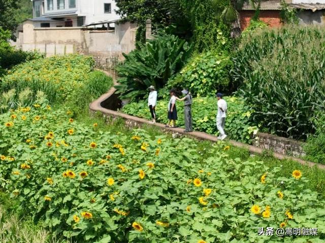 自在嵩明丨层峦碧水、林间野趣、美食垂钓……近郊旅行就来杨桥西山大村子