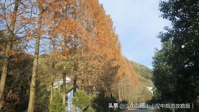 汉中洋西路自驾邂逅冬日限定美景！