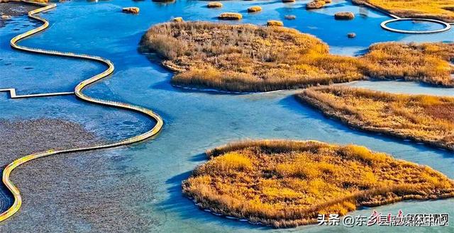 好美！张掖黑河湿地冬日披金景色如画