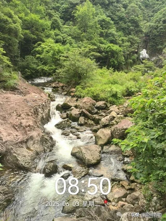 温州这个亲子游玩胜地、植物自然课堂孩子玩嗨家长不累
