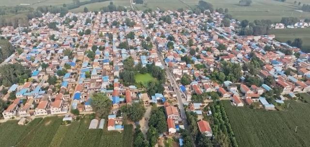 魅力曹县楼庄镇