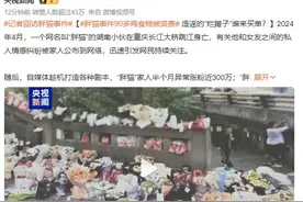 315深度解析“肥猫”事件，外卖祭奠高达90多吨，网友：简直疯了图片