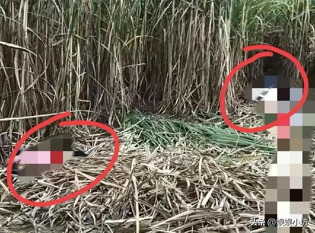 广西54岁李某已被抓获归案！被老太在山洞发现，整个人被冻的发抖