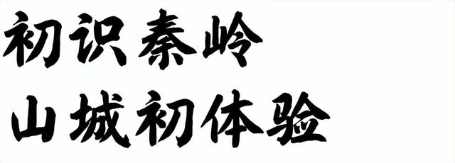 山野拾童趣！带娃来汉中这里，共享秋日亲子好时光~