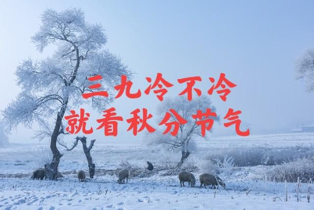 “冷不冷，就看秋分”，今日秋分，2025年冬天很冷吗？看农谚咋说