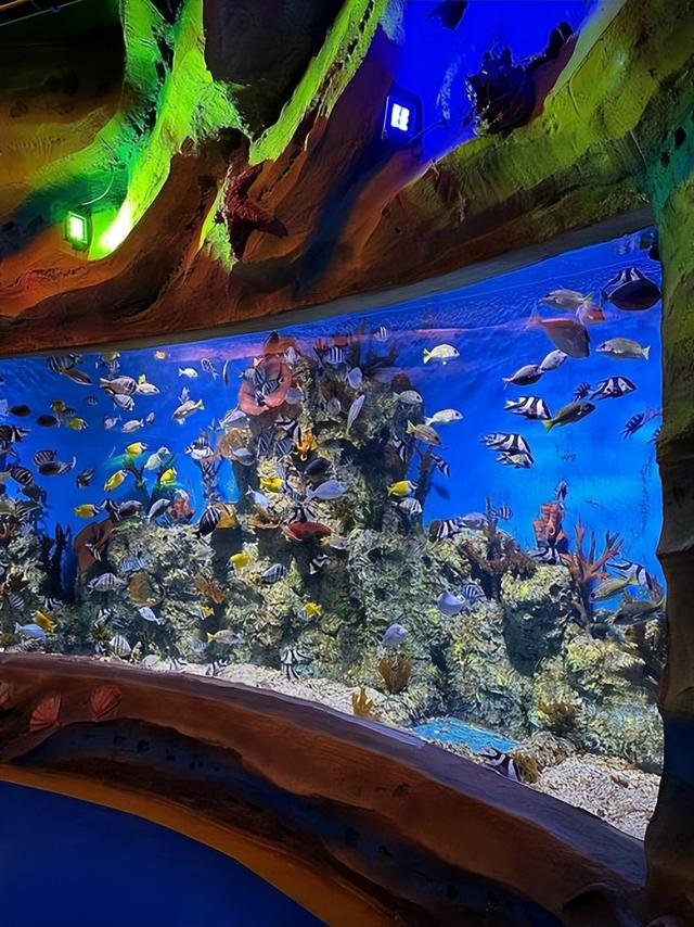 泉州新晋5大宝藏景区！周末别再问我去哪玩了