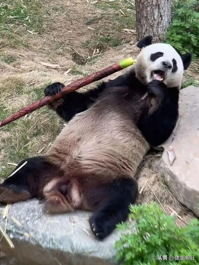 免免免！河南这些景区推出限时特惠活动→