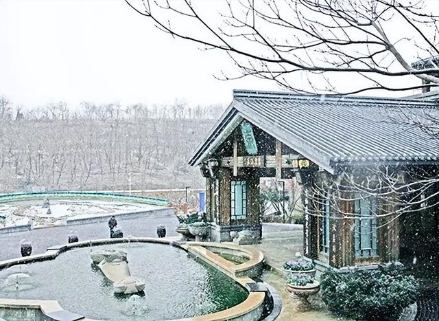 在金普，如何优雅地“猫冬”？这份幸福捕捉指南请收好！