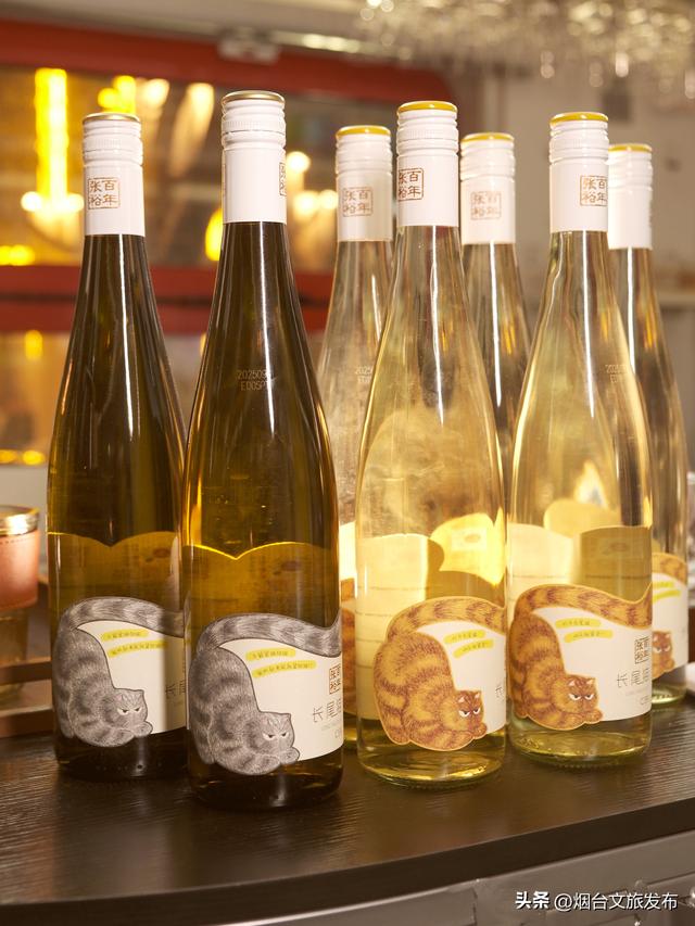 【乐游烟台】初冬的浪漫就交给这辆小火车！